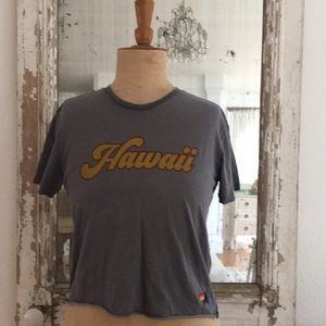 Aviator Nation crop HAWAII tee vintage Grey sz S